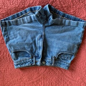 PacSun High Waisted Mom Short